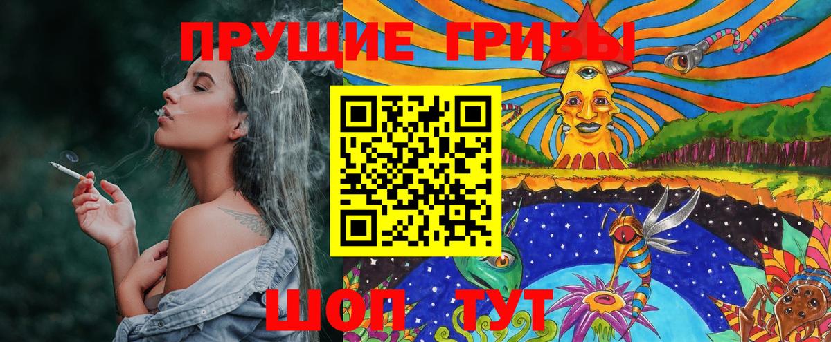Псилоцибиновые грибы Psilocybe  купить наркотики цена  Зима  Вход с VPN 